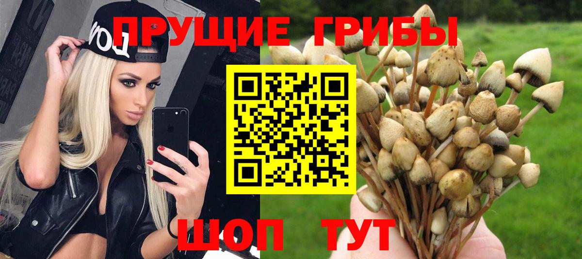 купить   Псилоцибиновые грибы ЛСД  Вход с VPN  Тутаев 