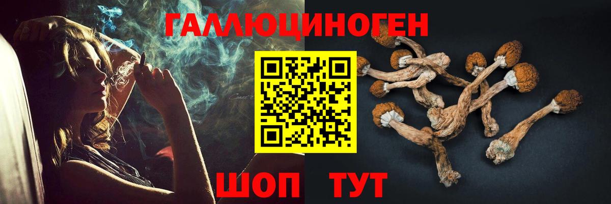 Галлюциногенные грибы ЛСД Тутаев